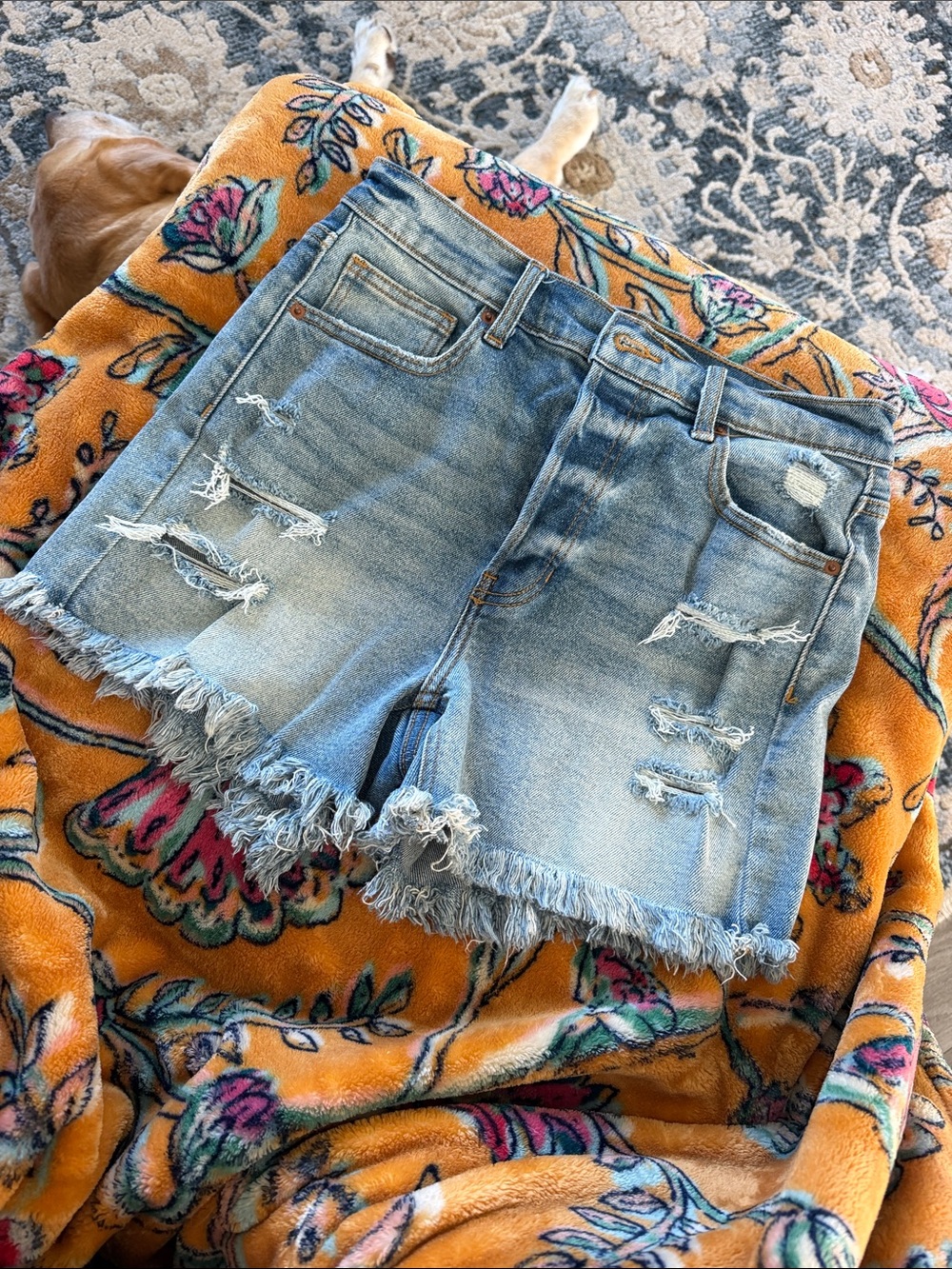 Cello Light Blue Distressed Denim Cutoff Shorts